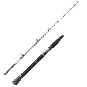 Leichte Schleppcombo GAME 500 180 10/14 lb