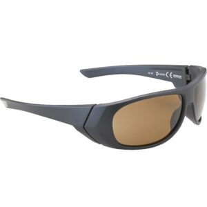 Polarisationsbrille FG 100 C