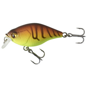 Wobbler Crankbait Shallow Runner WXM CRKSR 40 F Orangetiger