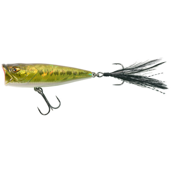 Wobbler Popper WXM PPR 65 F Black Bass